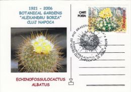 CACTUSS, CM, MAXICARD, CARTES MAXIMUM, 2005, ROMANIA - Cactus