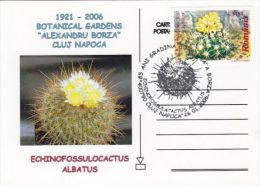 CACTUSS, CM, MAXICARD, CARTES MAXIMUM, 2006, ROMANIA - Cactus