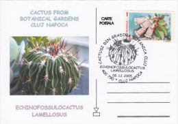 CACTUSS, CM, MAXICARD, CARTES MAXIMUM, 2005, ROMANIA - Cactus