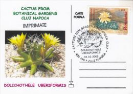 CACTUSS, CM, MAXICARD, CARTES MAXIMUM, OVERPRINT STAMPS, 2005, ROMANIA - Cactus