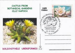 CACTUSS, CM, MAXICARD, CARTES MAXIMUM, 2005, ROMANIA - Cactus