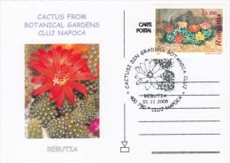 CACTUSS, CM, MAXICARD, CARTES MAXIMUM, 2005, ROMANIA - Cactus