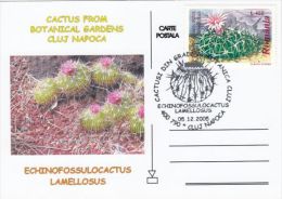 CACTUSS, CM, MAXICARD, CARTES MAXIMUM, 2005, ROMANIA - Cactus