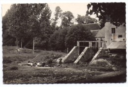 CPSM Photo Yonne 89 Isle Sur Serein Les écluses Du Moulins Avec 2 Lavandières Coll Daviot Photo Combier à Mâcon - L'Isle Sur Serein