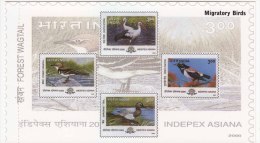 Department Of Post Picture Postcard, Migratory Birds, Bird, Stork, Wagtail, Rosy Pastor, Teal, - Picotenazas & Aves Zancudas