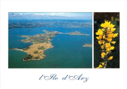 ILE D ARZ     VUE AERIENNE - Ile D'Arz