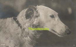 RPPC REAL PHOTO POSTCARD DOG ** CPA PHOTO CHIEN - Chiens