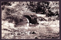 HERBEUMONTsur Semois  - Promenade De L'Antrogne - Vieux Pont Sur Le Ruisseau  // - Herbeumont