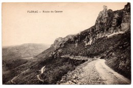 CP, 48, FLORAC, Route Du Causse, Vierge - Florac