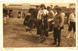 Zandvoort - Strand - & Donkey - Zandvoort