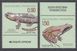 BOSNIA(SERBIAN)  ,2013,  MNH, REPTILES AND AMPHIBIANS,FROGS,SALAMANDERS, 2v - Kikkers