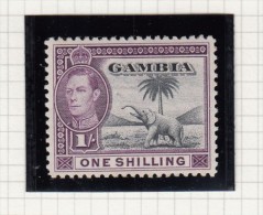 KING GEORGE VI - Gambia (...-1964)