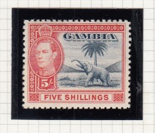 KING GEORGE VI - Gambia (...-1964)