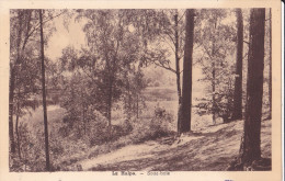 LA HULPE :  Sous-Bois - La Hulpe