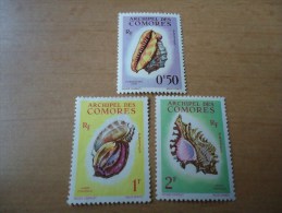 Komoren: 3 Werte Muscheln 1962) - Unused Stamps