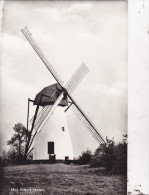 MOL / MOLL : Ezaart Molen - Mol