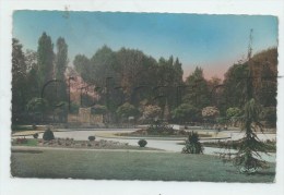 Chelles (77) : Le Monument Aux Morts Au Parc Des Souvenirs En 1960 PF - Chelles