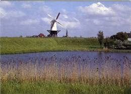 VEERE (Zeeland) - Molen/moulin - Stellingmolen "De Koe" In 1963, Opgezeild En In Werking Met Bilauwieken. TOP! - Veere