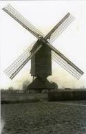 NEERPELT (Limburg) - Molen/moulin - Maxikaart Van De Verdwenen Standaardmolen Omstreeks 1925. Mooie Close-up! - Neerpelt