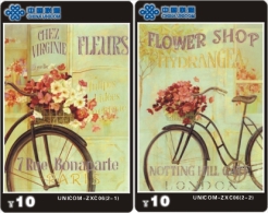 M05143 China Phone Cards Bicycle 50pcs - Motos