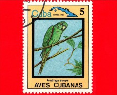 CUBA - 1983 - Animali - Fauna - Uccelli Cubani - Birds - Aves - Aratinga Euops - 5 - Gebruikt