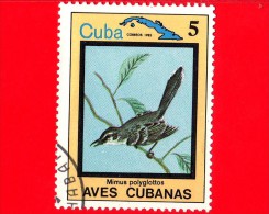 CUBA - 1983 - Animali - Fauna - Uccelli Cubani - Birds - Aves - Mimus Polyglottos - 5 - Gebruikt