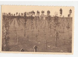 Worldwar 1914-18 Langemark Duitsch Krijgskerkhof Cimetière Militaire Allemand - Langemark-Poelkapelle