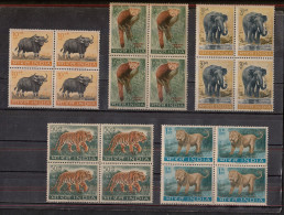 INDIA, 1963, Wild Life Preservation, Set 5 V, Animal, Elephant, Lion, Tiger, Panda, Gaur, Animals,Block Of 4, MNH, (**) - Ungebraucht