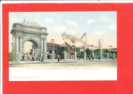 CONEY ISLAND NEW YORK Cpa Fete Foraine Luna Park   2076 Illustrated Post Card C O N Y - Brooklyn