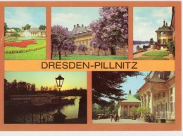 Dresden - Pillnitz - Pillnitz