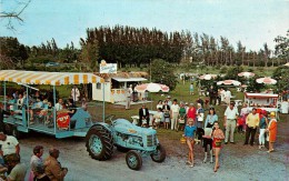 PALM BEACH         LARGEST ATTRACTION     TRACTEUR - Palm Beach