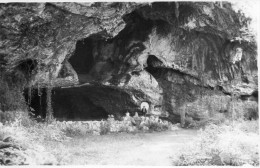 64 Sare Carte Photo  La Grotte Animée - Sare