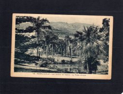 46970   Monaco,   Monte-Carlo,  Les  Jardins Du  Casino, La Petite Afrique,  VG  1932 - Casinò