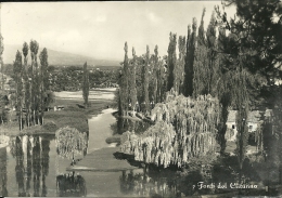 FONTI DEL CLITUMNO - Foligno