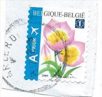 Belgique Sur Fraguement - Used Stamps