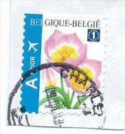 Belgique Sur Fraguement - Used Stamps