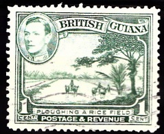 British Guiana, 1938, SG 308, Used - Guayana Británica (...-1966)