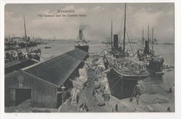 EGYPTE - ALEXANDRIE - The Harbour And The Custom House - Alexandria