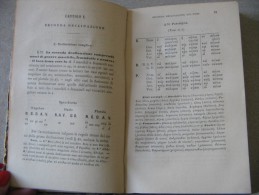 1888 MANUALE DI MORFOLOGIA GRECA 1^ PARTE - TEORICA - GIOVANNI ZENONI - Old Books