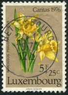 Pays : 286,05 (Luxembourg)  Yvert Et Tellier N° :   887 (o) - Used Stamps