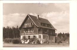 Bad Birnbach ???????photo Carte Pension Sonnenschein - Landshut