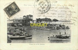 Argentine, Cp Pionnière, Vista En El Parana, Beaux Bateaux, Affranchie 1905 - Argentinien