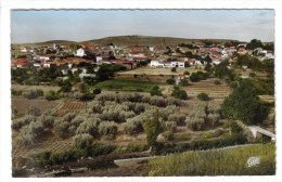 CPSM SAÏDA (Algérie) - Vue Générale - Saïda