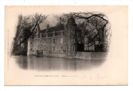 Marcilly En Villette Vue Sur Le Chateau De Bruel En 1900 Prise Depuis Les Douves Canton La Ferté Saint Aubin - La Ferte Saint Aubin