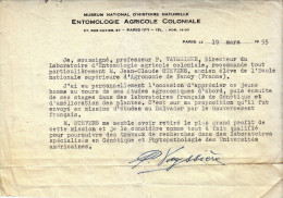 Archives Jean Claude STEVENS (1924 - ?) - Recommandations Du Pr Vayssières - FRANCO - Diplômes & Bulletins Scolaires