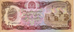 AFGHANISTAN  1 000 Afghanis   Daté De 1991   Pick 61 C             ***** BILLET  NEUF ***** - Afghanistan