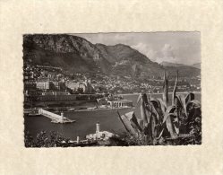 47059    Monaco,   Monte-Carlo,  L"Entree Du  Port,  NV - Porto