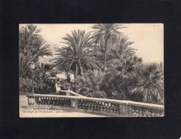 47077    Monaco,  Monte-Carlo,  Groupe De Palmiers,  Les  Jardins,  NV - Exotic Garden