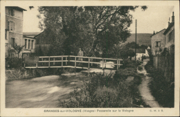 88 GRANGES SUR VOLOGNE / La Passerelle Sur La Vologne / - Granges Sur Vologne