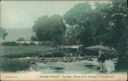 88 GRANGES SUR VOLOGNE / Paysage, Rives De La Vologne à Frambemenil / CARTE COULEUR - Granges Sur Vologne